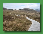 Connemara (265)